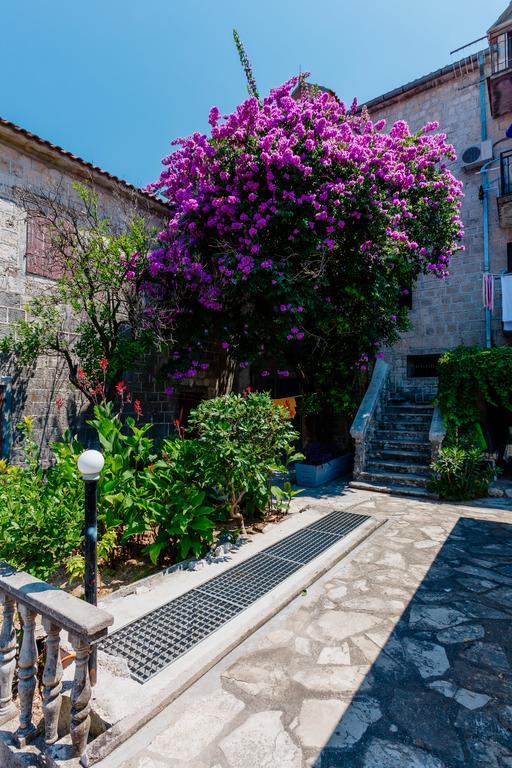 Celine'S Place By The Sea Kotor Bagian luar foto