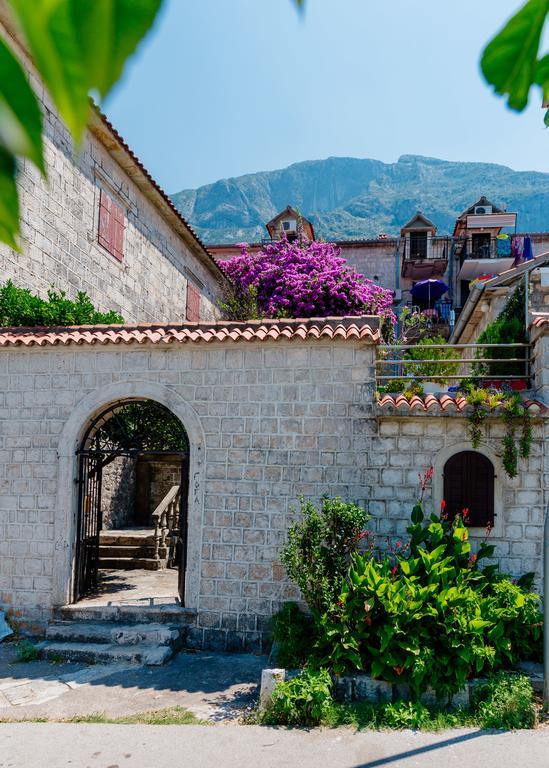 Celine'S Place By The Sea Kotor Bagian luar foto